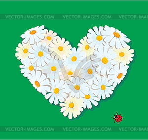 Heart is made of daisies on green background. - vector clip art