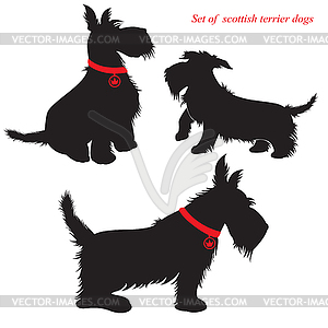 Set of of scottish terrier dogs silhouettes - vector clipart