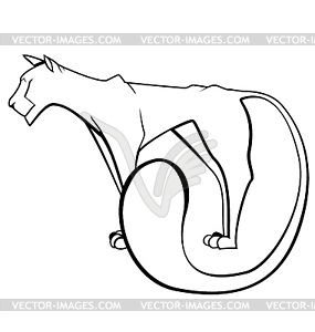 Black and white panther - vector image