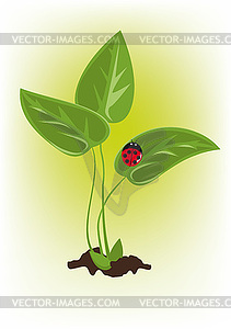 Sprout - vector clipart