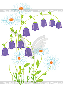 Field flowers - vector clip art