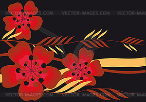 Poppies on black background - vector image