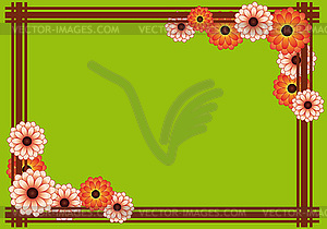 Green background with chrysanthemum - vector clipart