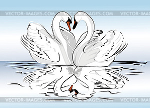 Pair of swans - vector clipart