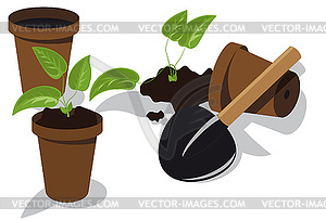 Transplanting flower seedlings - vector clip art