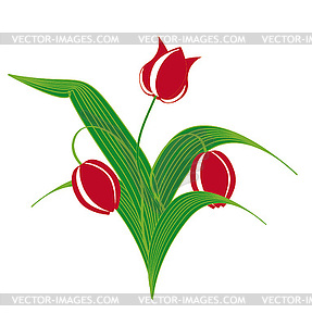 Red tulips - vector clipart