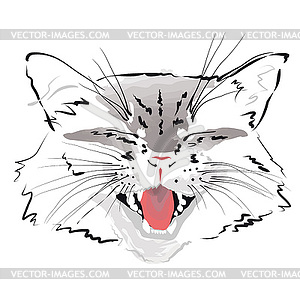 Muzzle gray cat - vector clipart