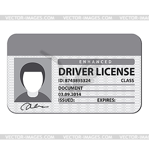 Driver license - vector clipart