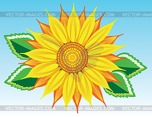 Sunflower - vector clip art