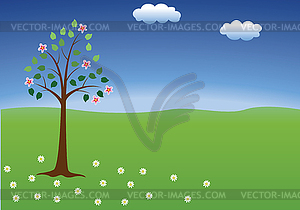 Cherry tree - vector image