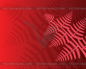 Fern leaves  - vector image