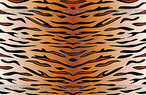 Background of tiger skin  - vector image