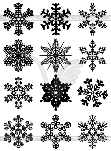 12 snowflakes - vector image