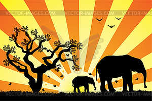 Elephants in africa  - vector clipart / vector image