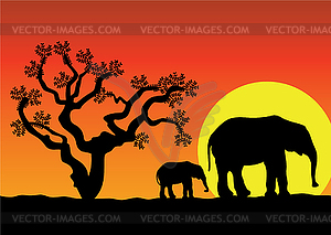 Elephants in africa - vector clip art