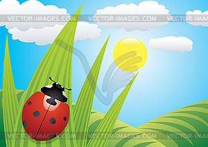 Ladybird on the leaf - vector clipart