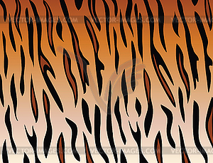 Tiger skin - vector image