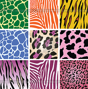 Animal skin textures - vector EPS clipart