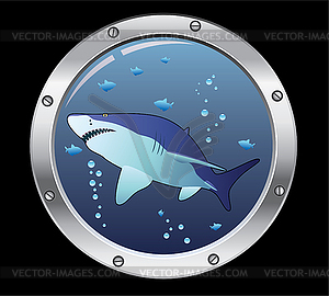 Porthole and a shark - vector clip art