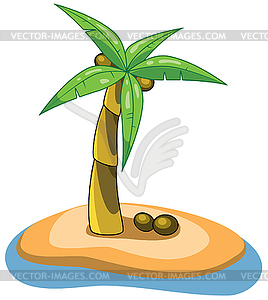 Palm  - vector clipart