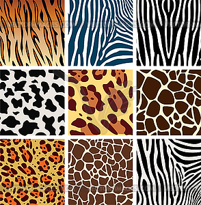 Animal skin textures - vector clipart