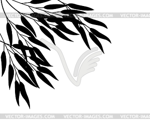 Bamboo,  - vector image