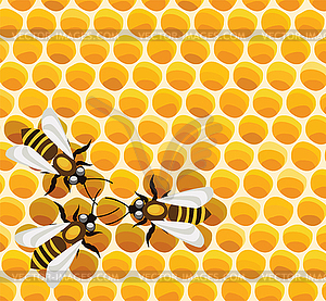  bees on honeycells  - vector clipart