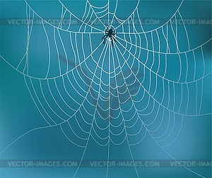 Spider and web - stock vector clipart
