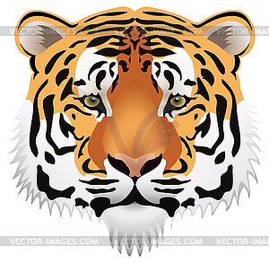 Tiger head - vector clipart