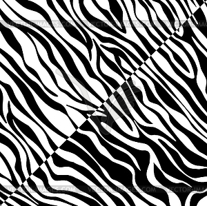Abstract skin texture of zebra - vector clipart