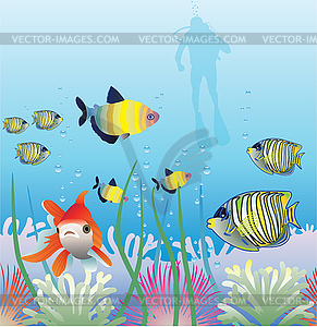 Tropical fishes - vector clipart