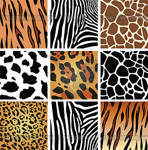 Animal skin textures - vector clip art