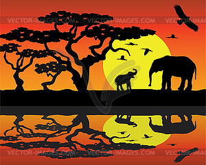 Elephants in africa  - vector clipart