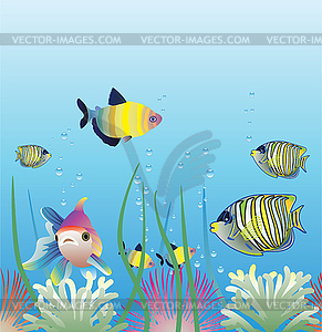 Aquarium and fishes  - vector image
