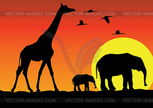 Giraffe and elephants - vector clip art