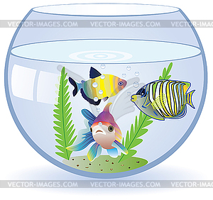 Aquarium and fishes - vector image