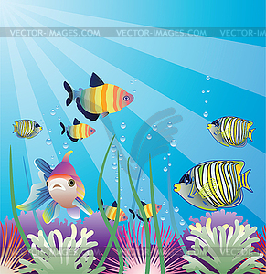 Tropical fishes - vector clipart