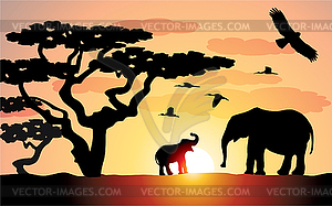 Elephants - vector image