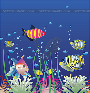 Aquarium and fishes - vector clip art