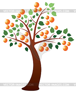 Orange tree - vector clip art