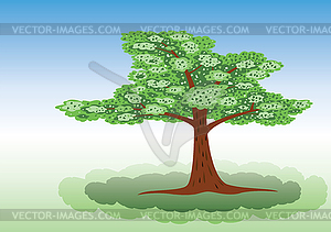 Tree  - color vector clipart