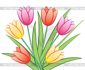 Vector  tulips - vector clip art