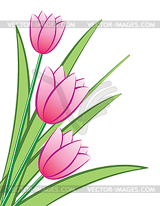 Vector tulips - vector image