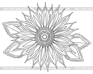 Vector sunflower  - vector image