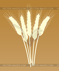 Vector wheat ears - vector EPS clipart