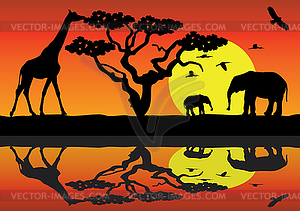 Vector giraffe and elephants in africa - vector clipart