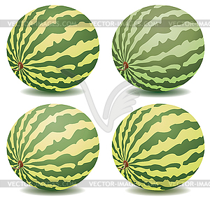 Vector watermelons - vector clip art
