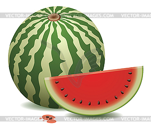 Vector watermelon - vector image
