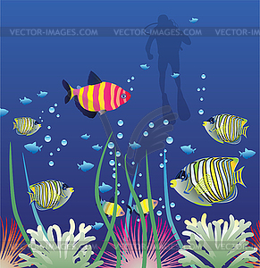 Вектор рыб и аквалангиста - векторное изображение EPS