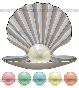 Vector pearls and a shell - vector clip art